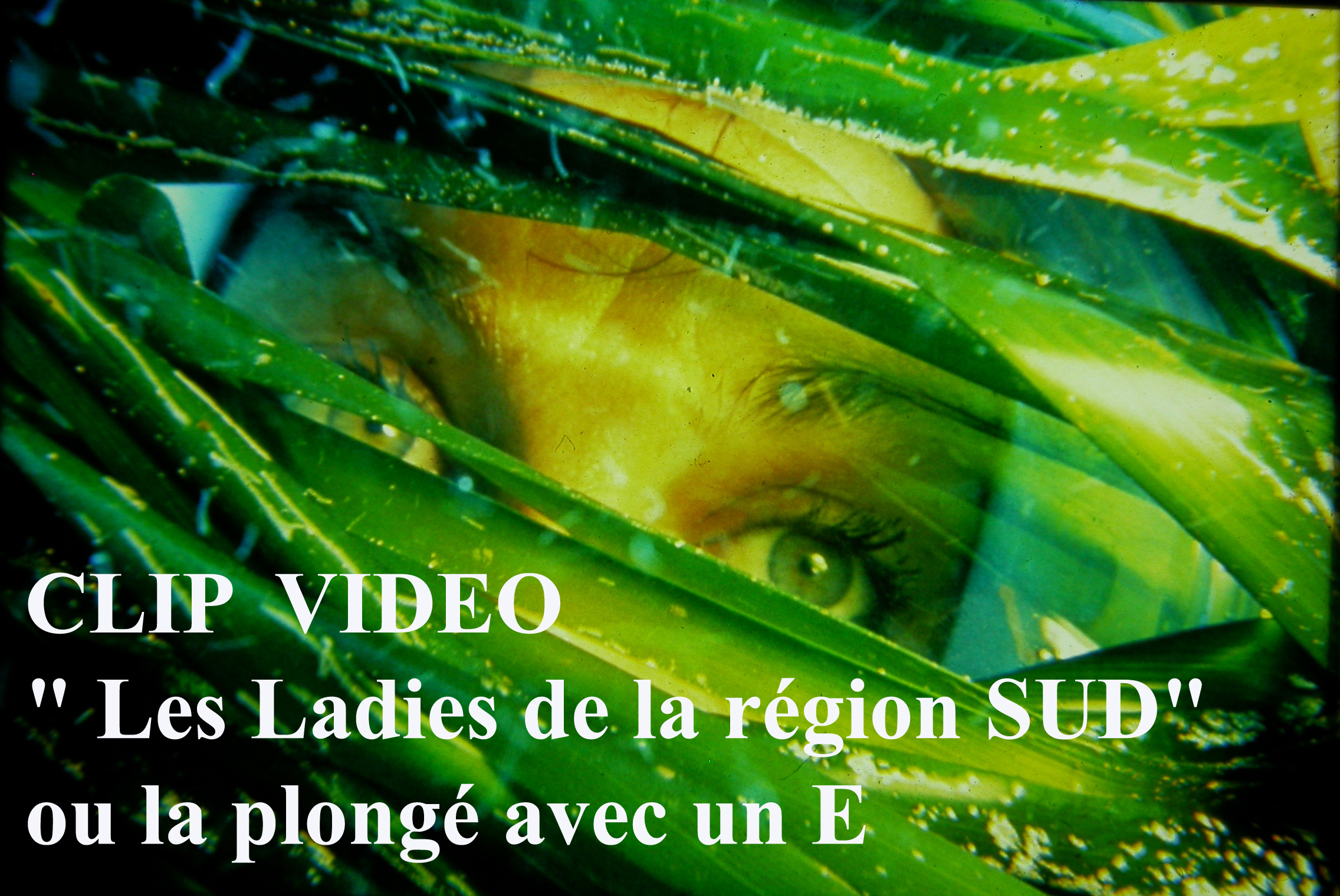clip video Les Ladies région Sud
